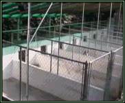 Kennel